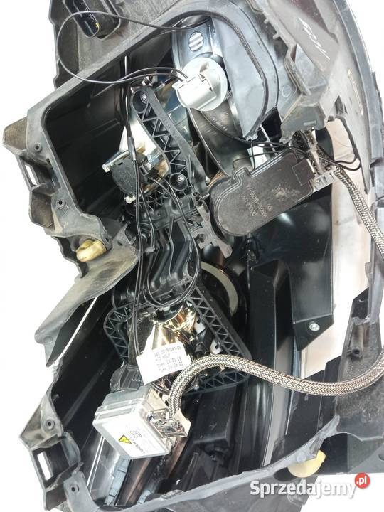 LAMPA PRZÓD LEWA XENON EU USZKODZONA 9808573580 Rok produkcji 2019 świętokrzyskie