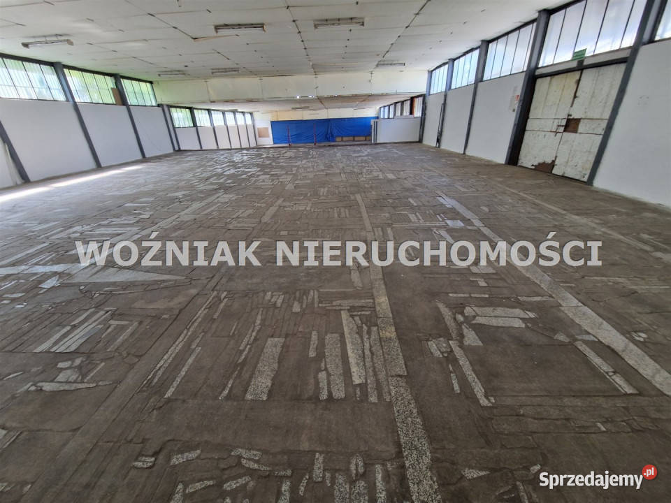 Lokal Wałbrzych 540m2 540m2