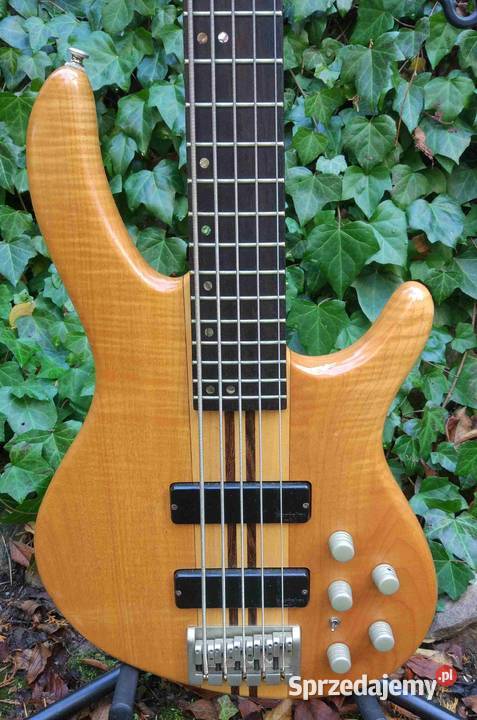 Gitara basowa Cort A5 aktywna Korea basowa Tuszyn