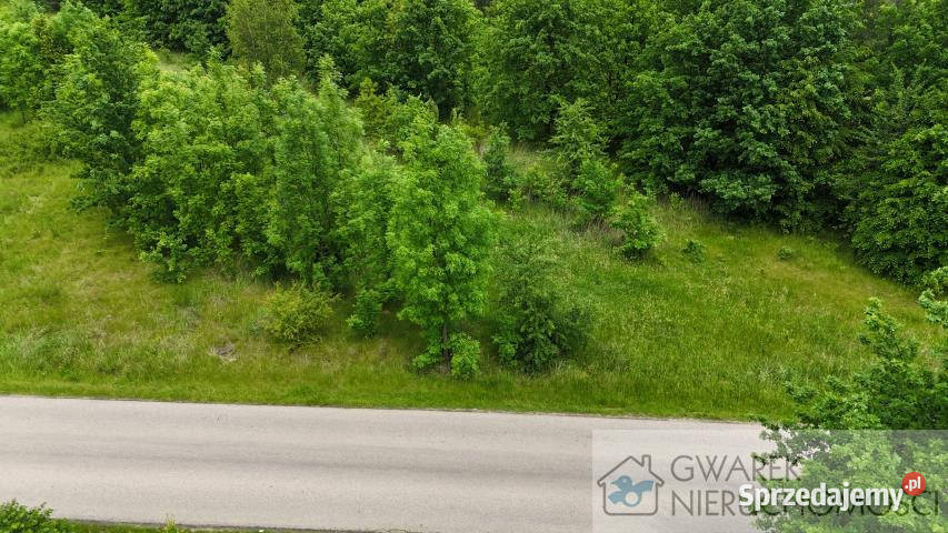 Działka 59500m2 Toporowice budowlana