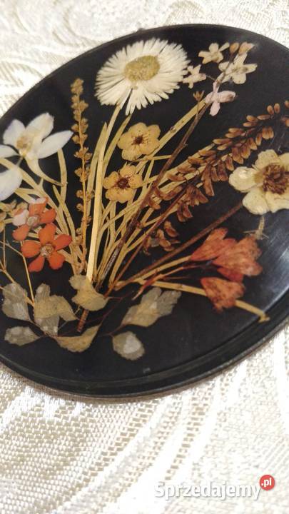 Obrazek z naturalnych kwiatków wielokolorowy małopolskie Kraków sprzedam