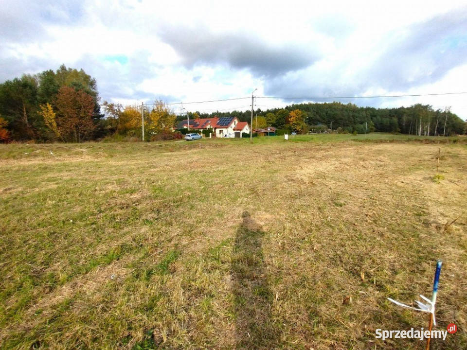 sprzedaży działki Daleszyce 799m2 budowlana