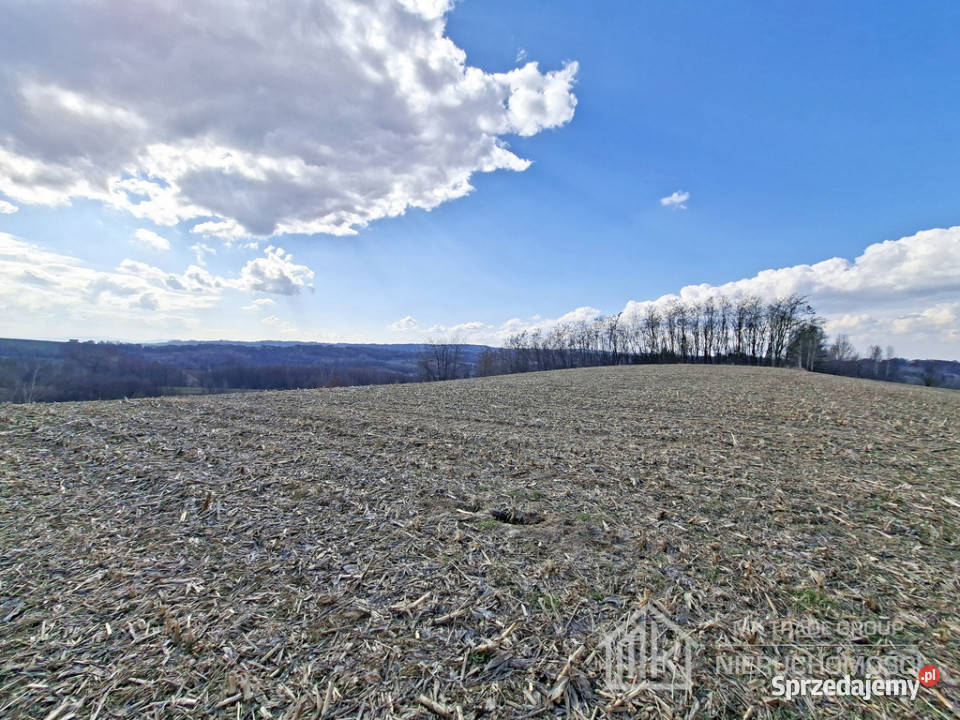 Bodzanów ok Wieliczki działka bud 25a MN 56a R sprzedam
