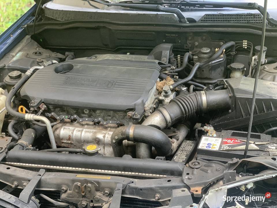 Na ssak almera diesel 22 Wołowiec