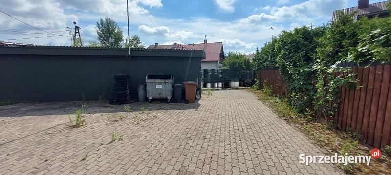Syndyk sprzeda Ostrołęka Czeczotka