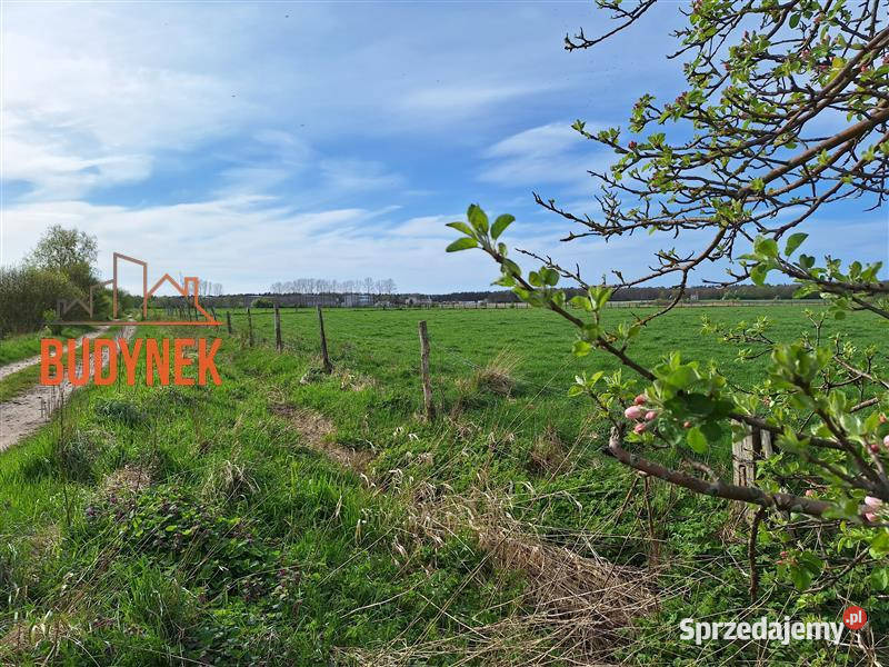 Działka budowlana Żukowo Morskie Sprzedaż