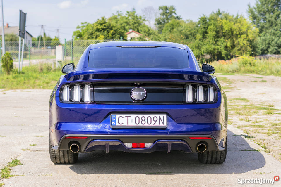 Ford Mustang 2016 50 Zadbany ESP kujawsko-pomorskie