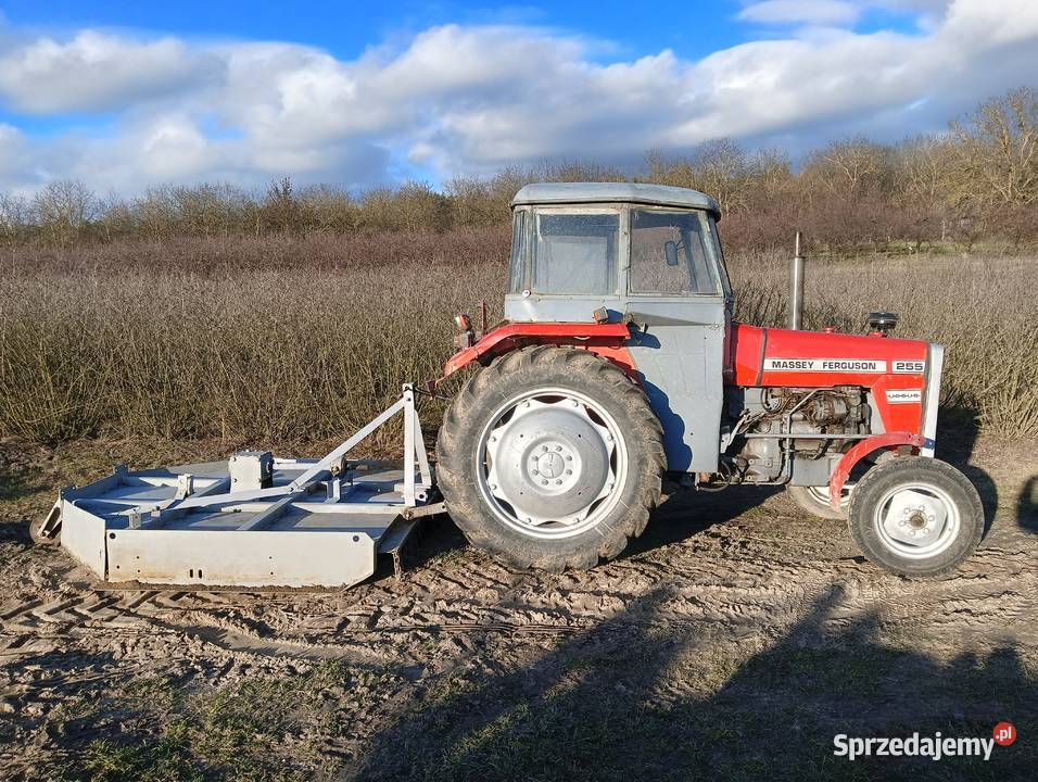 Ciągnik rolniczy MF 255 Annopol sprzedam