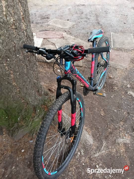 Rower MTB 29 Wołów