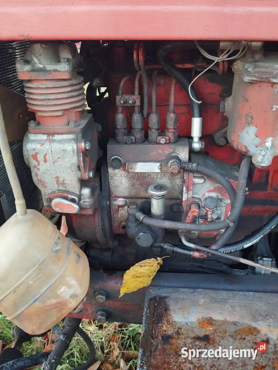 My 82 części Skała