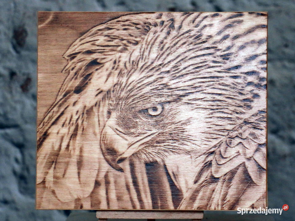 Jastrząb Obraz wypalony w drewnie Obrazki i obrazy Jasienica Rosielna