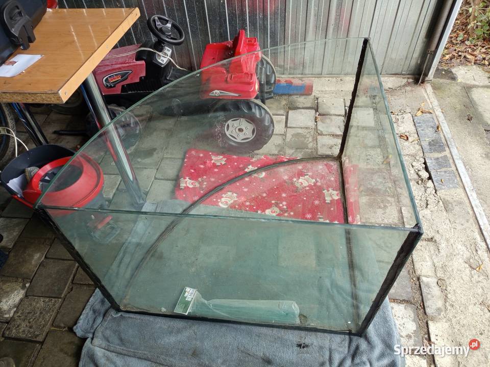 Akwarium narożne panoramiczne ponad 300L z dolnośląskie Jawor sprzedam