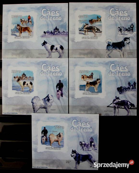 Gwinea Bissau psy 6 wielkopolskie Oborniki