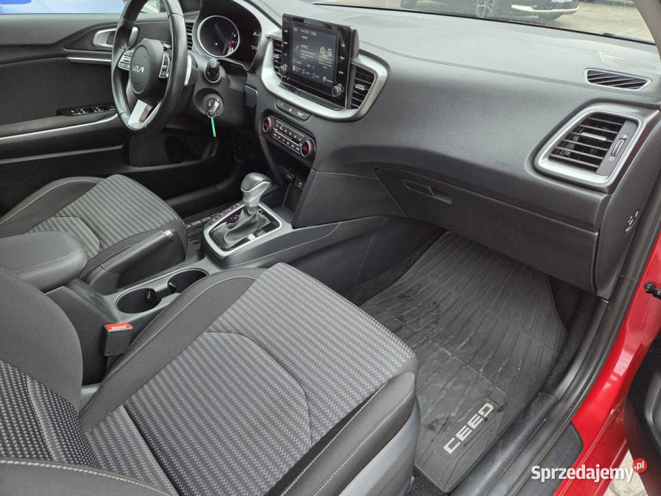 Kia Nowy Ceed 15 TGDI Wersja M Kamera Tempomat Bełchatów