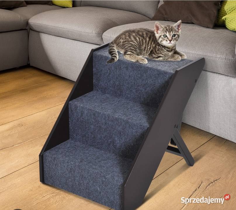 Schody psa kota Bochnia