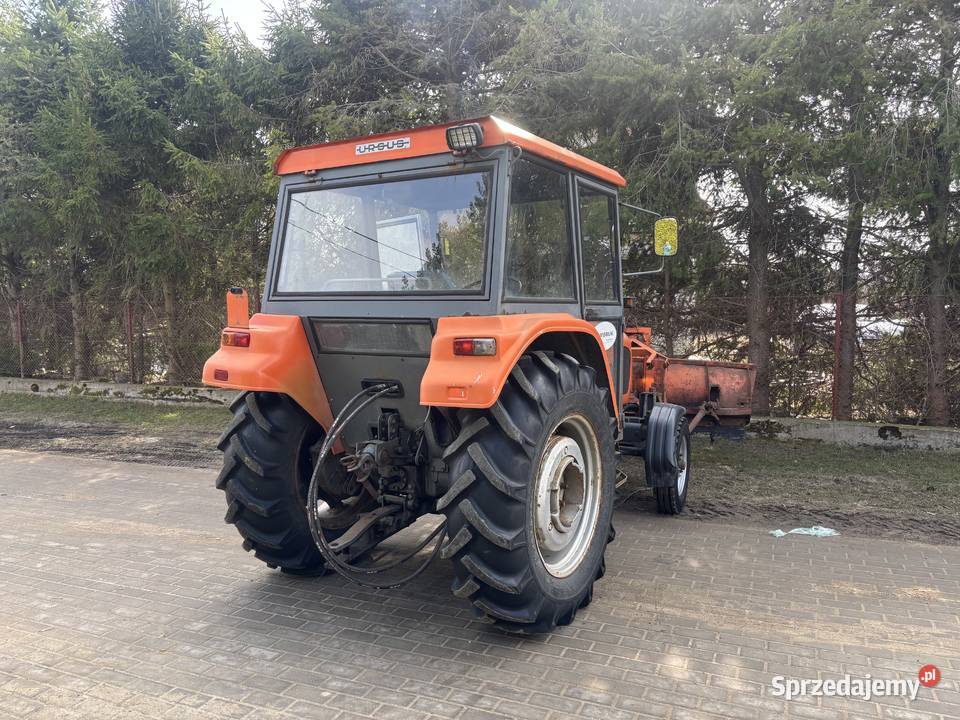 Ursus C360 z pługiem Karlikowo