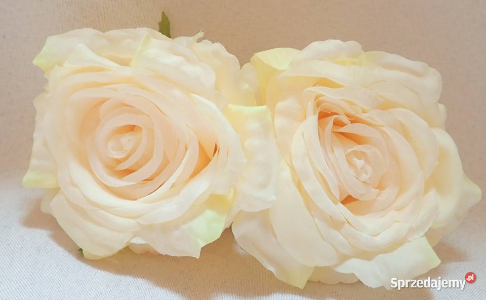 Róże rozwinięte różne kolory 1 śr 115 LA623 Dom i Ogród