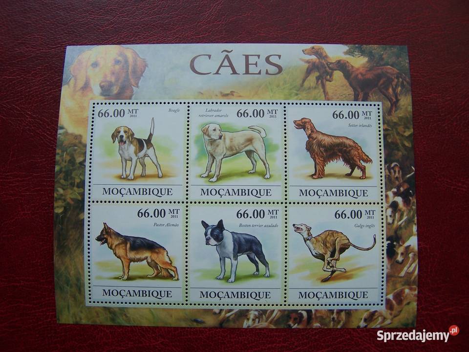 Mozambik 2011 MNH Fauna Zwierzęta Psy Tychy