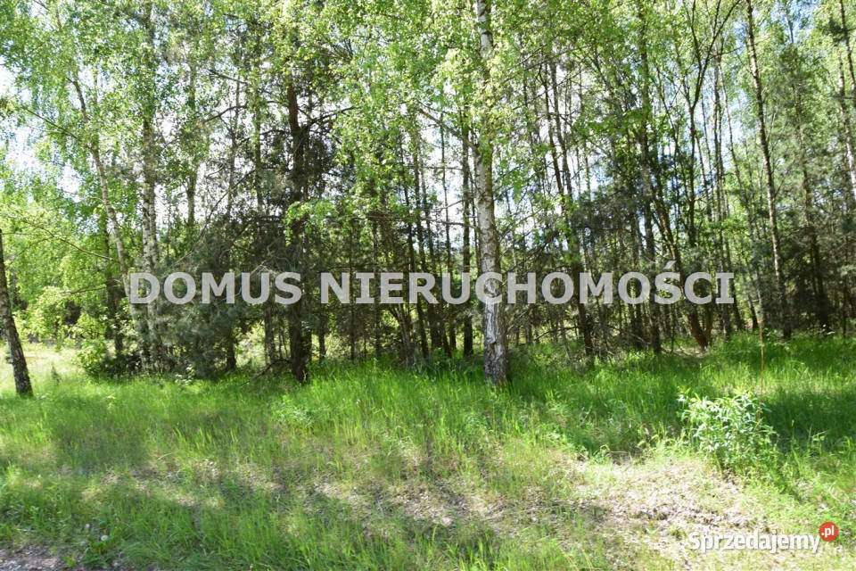 Grunt na sprzedaż Taurów 29000m2 kanalizacja