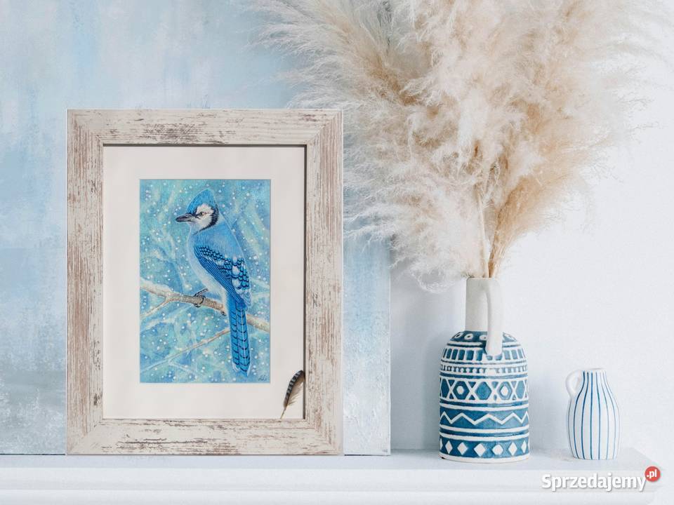 Blue Jay modrosójka błękitna ptak zima akwarela niebieski