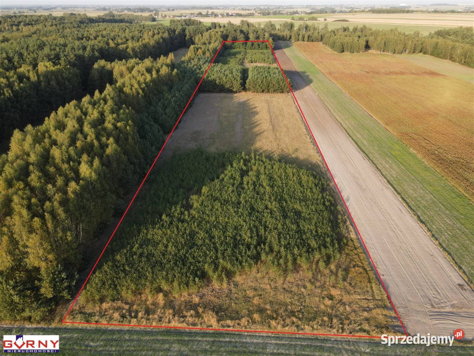 Grunt 29700m2 Mąkolice