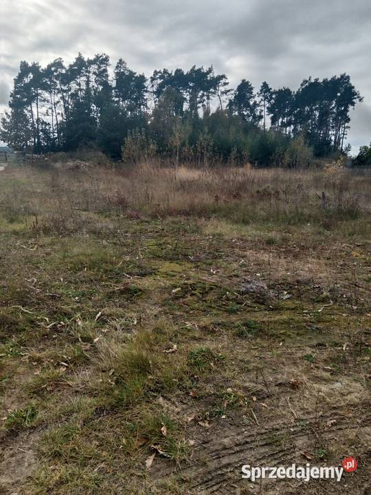 Sprzedam działkę budowlaną uzbrojona 1296m 170zł/m2 wielkopolskie