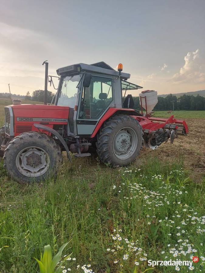Massey ferguson 3065 Ciągniki Lipnica Wielka