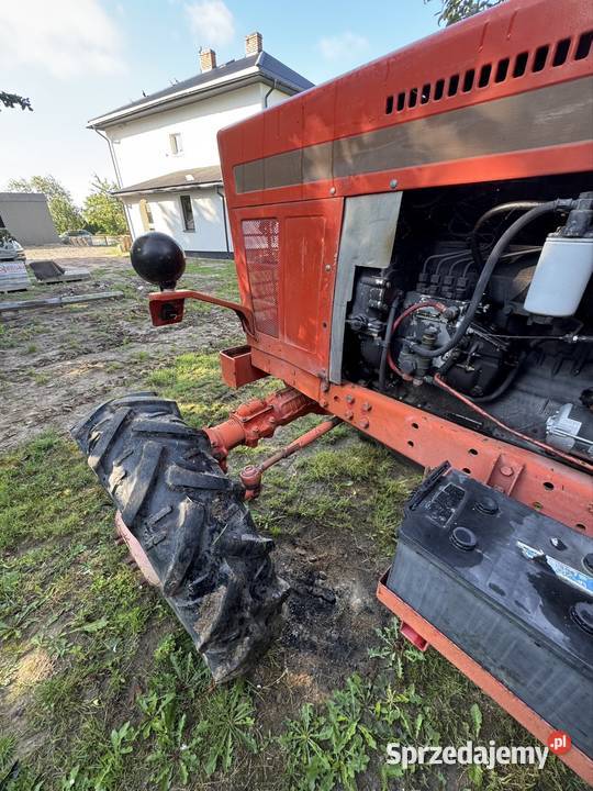 Mtz 82 Bzowiec sprzedam