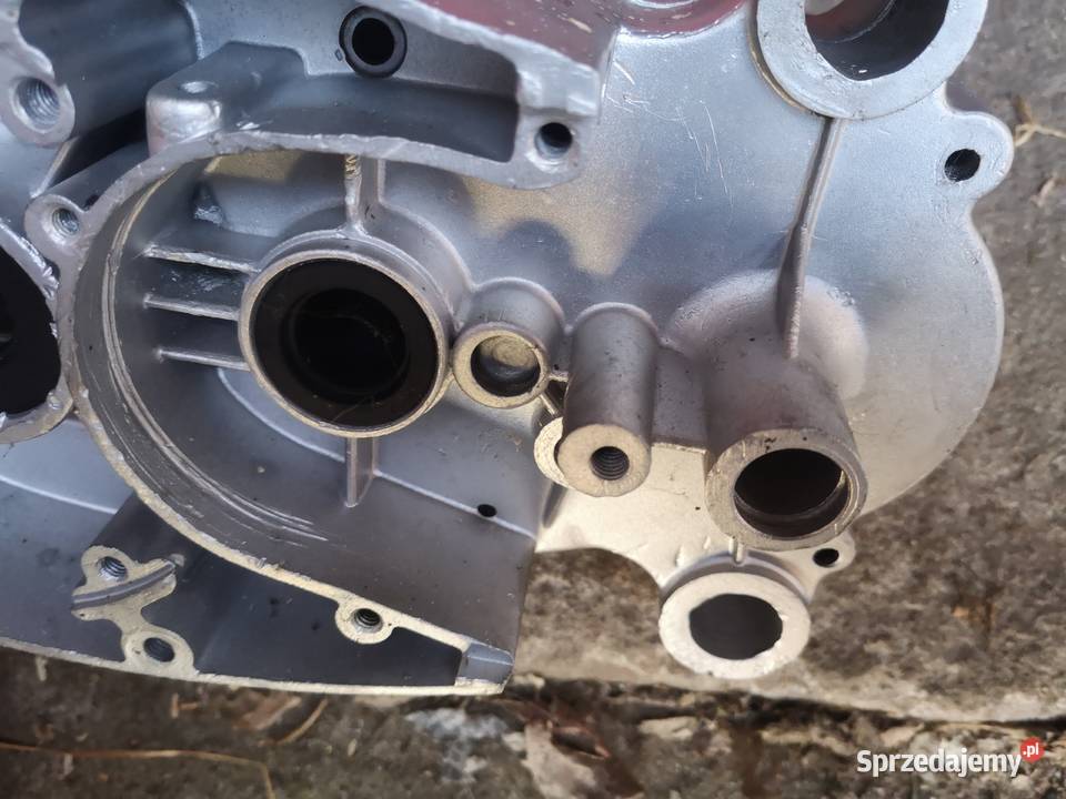 Kartery komar Łochów