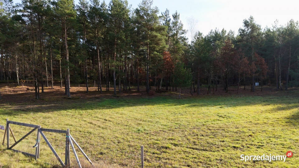 Na sprzedaż działka z WZ Prabuty sprzedam
