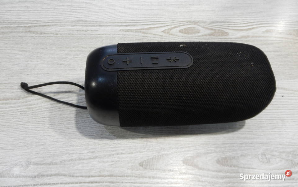 Głośnik Peaq PPA 305