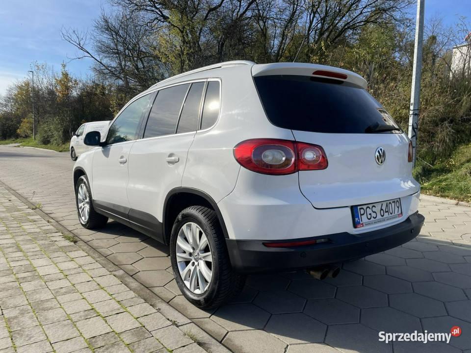 Volkswagen Tiguan Volkswagen Tiguan 20 TDI Gostyń