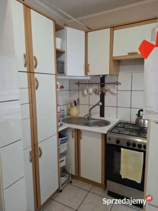 WOCŁAWEK ZAZAMCZE 2 pokojowe mieszkanie na parter kujawsko-pomorskie