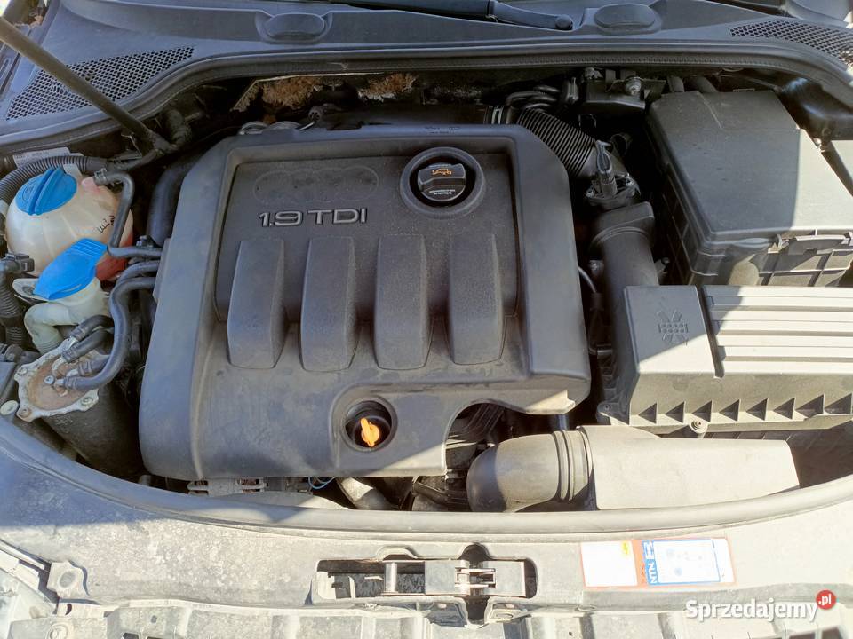 Audi a3 bls 19 tdi nieuszkodzony Chełmno