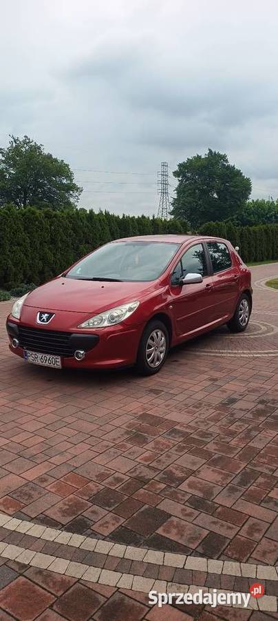 Peugeot 307 20 benzyna 140 153 przebieg Rychwał