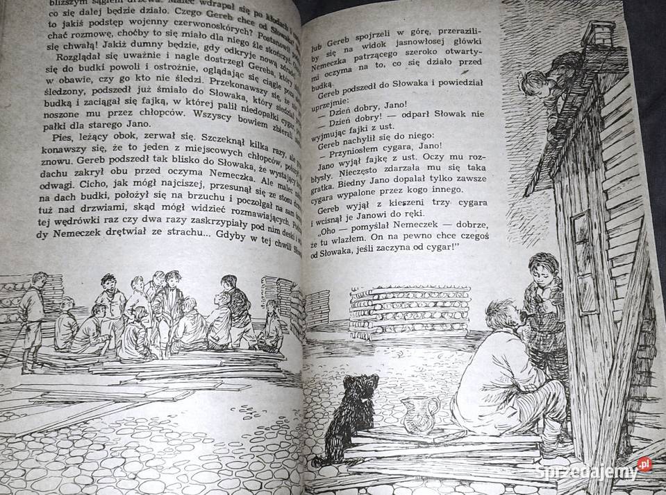 Chłopcy z placu broni Ferenc Molnar miękka Chełm