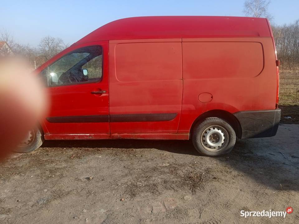 fiat scudo Kosiorów