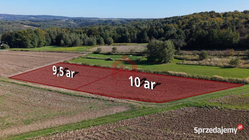 sprzedaży działki Wielopole Skrzyńskie 1000m2