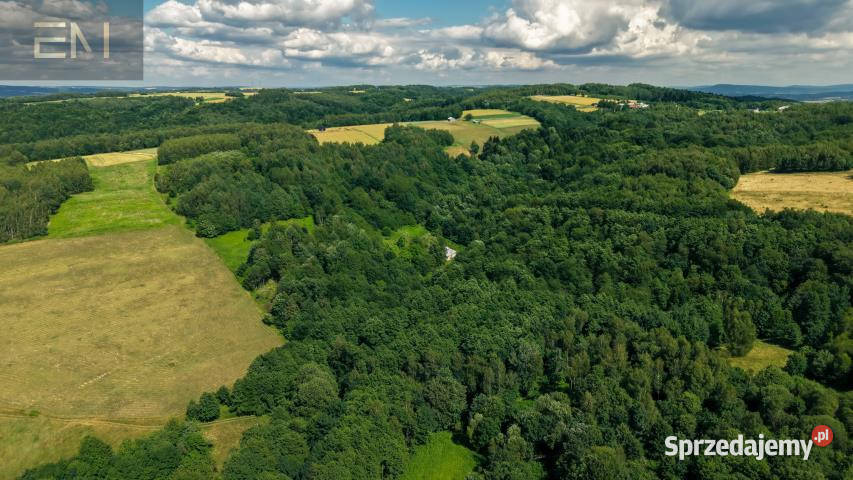 Działka Jaszczurowa 18900m2