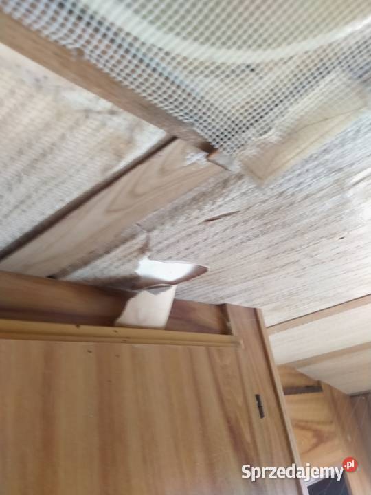 Przyczepa kempingowa Buerstner 1979 Motoryzacja Gdynia sprzedam