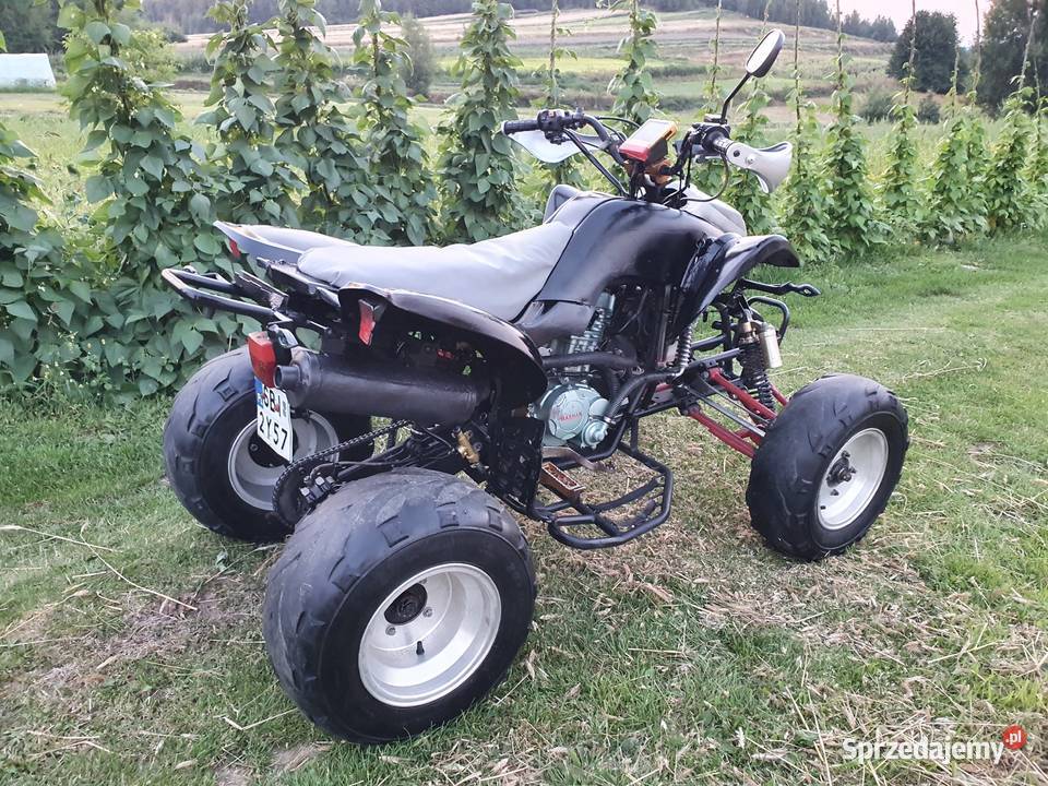 Quadziki bashan Zarjerestrowany 250cm3