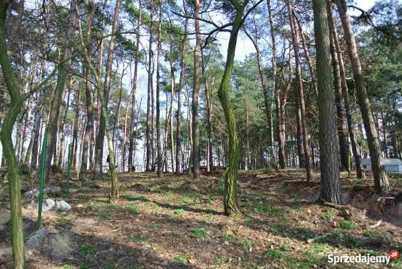 Sprzedam działkę rekreacyjną jeziorem w gminie Ślesin