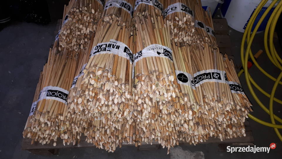 Murarka kokony trzcina Pozostałe