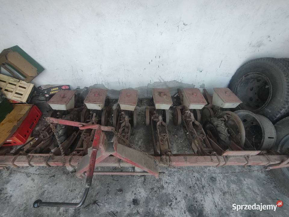 Siewnik do buraków Różyny