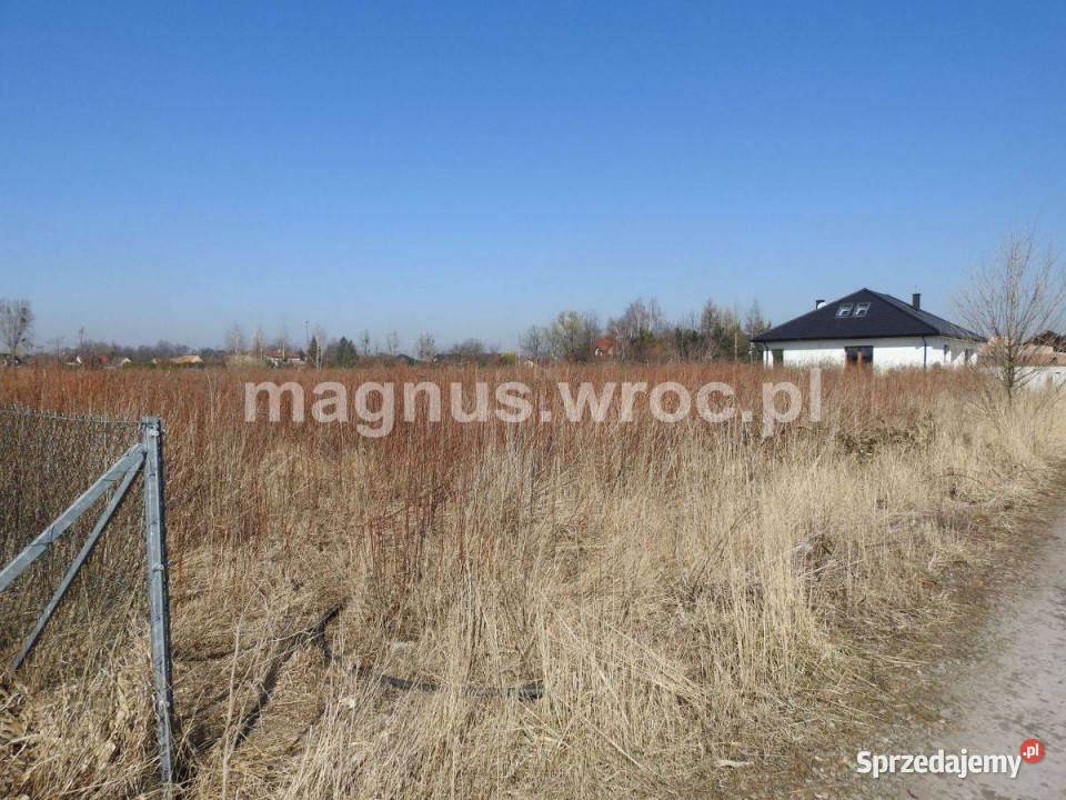 Działka zagrodowa w Suchym Dworze dolnośląskie Suchy Dwór
