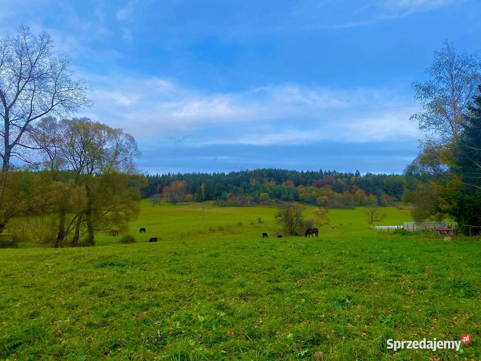 Działka na SprzedażBieszczady podkarpackie Zadwórze