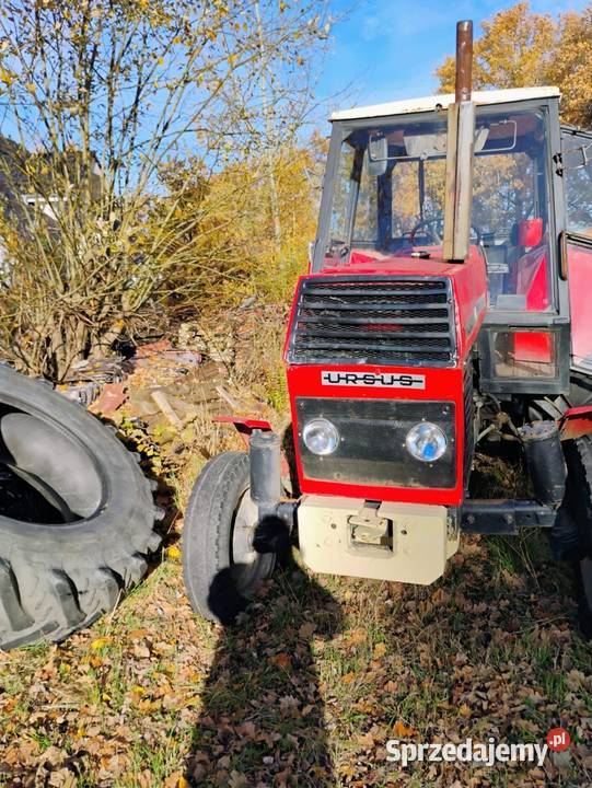 Ursus 902 lubuskie Jasień