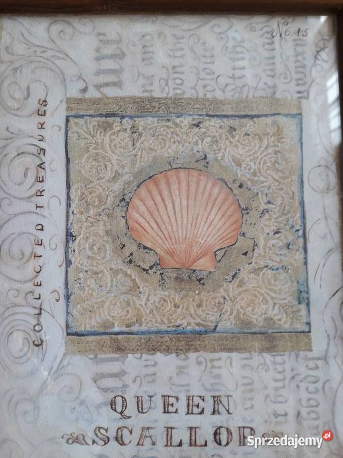 Obraz Shelly Hely Malarstwo Koło