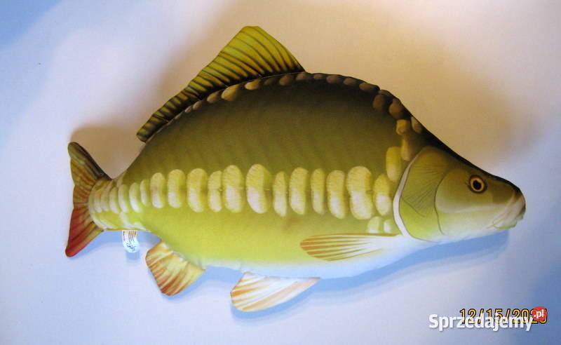 Pluszak poduszka w kształcie Karpia małopolskie Kraków