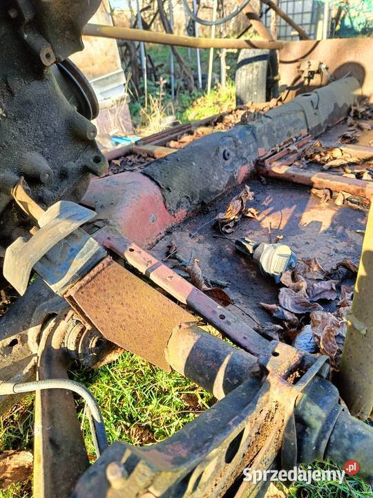 Baggy garbus Wrocław